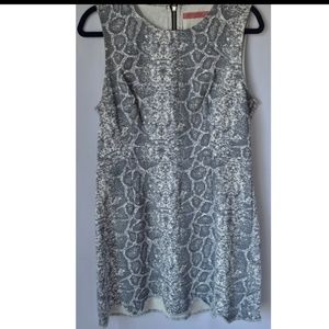 Animal Print Grey Dress